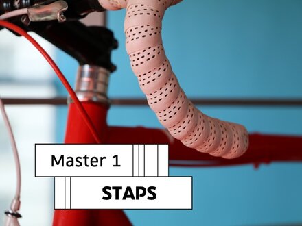 Master 1 STAPS