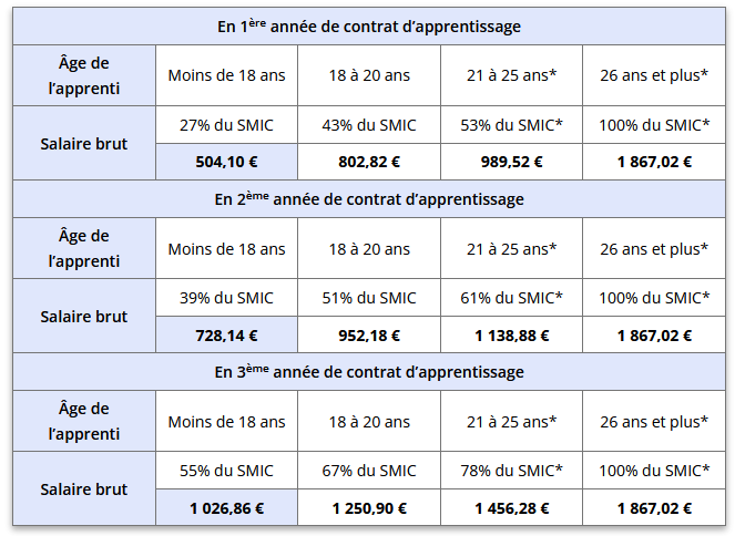<em>Source : alternance-professionnelle.fr, juin 2026.
Éléments susceptibles d'être modifiés en fonction des changements législatifs</em> tableau de rémunération pour un contrat d'apprentissage